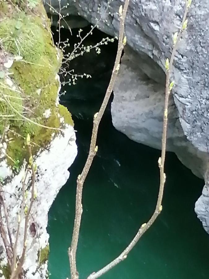 Pocitnisko Stanovanje Planja Soča エクステリア 写真