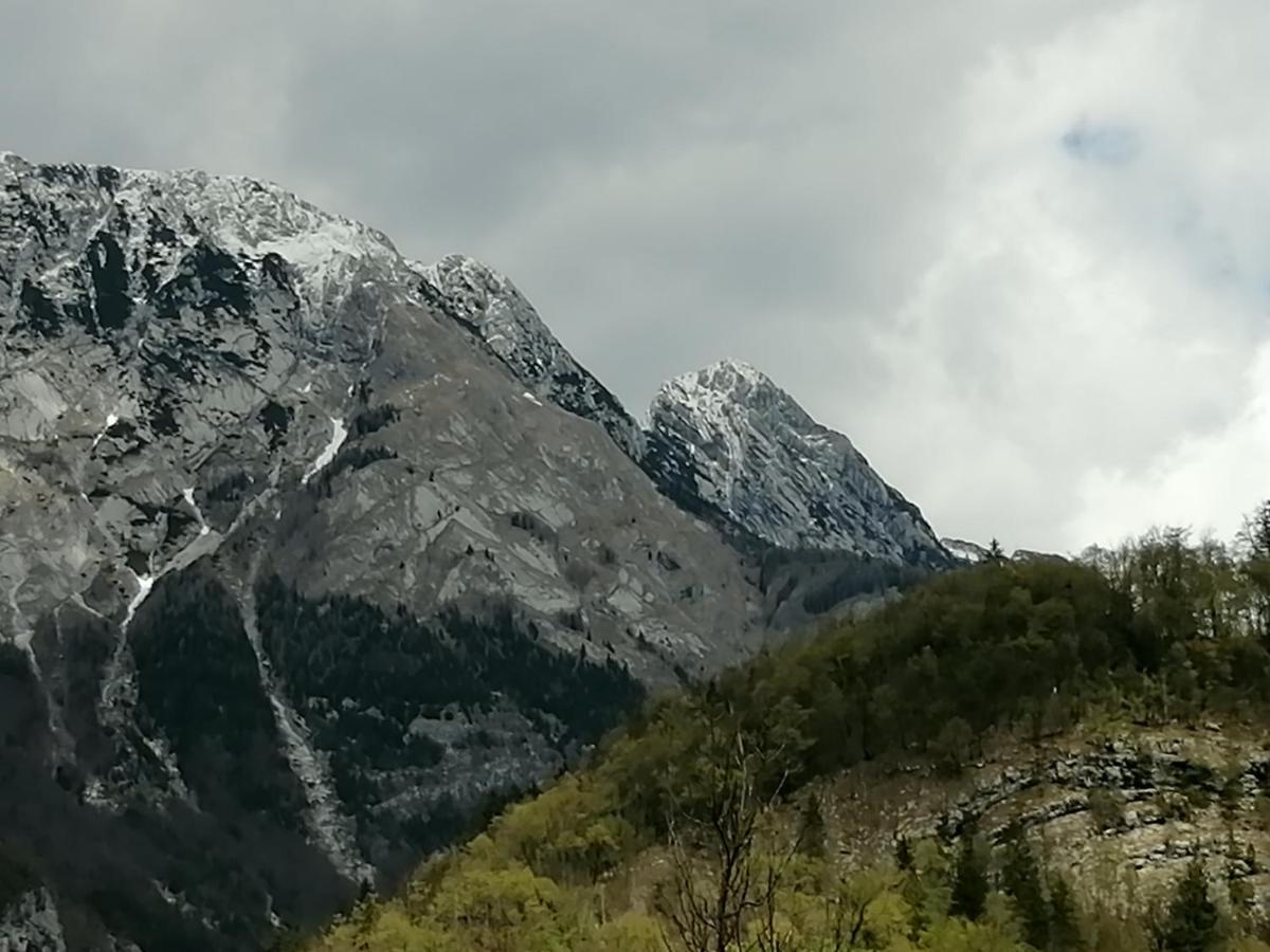 Pocitnisko Stanovanje Planja Soča エクステリア 写真